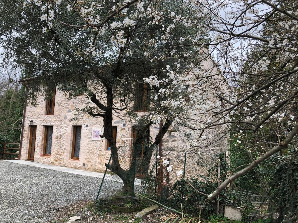 Dolce Vita In Tuscany Cottage Capannori Exterior photo
