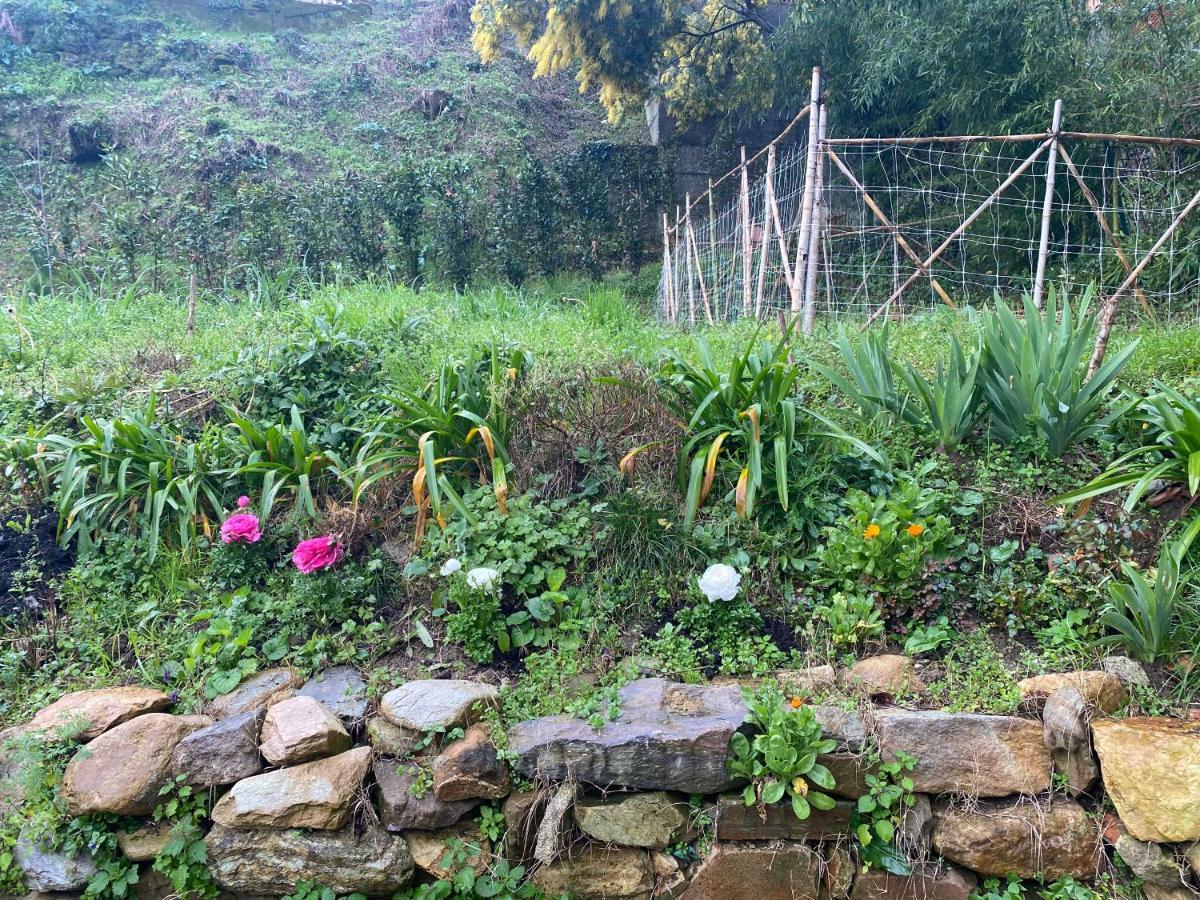 Dolce Vita In Tuscany Cottage Capannori Exterior photo