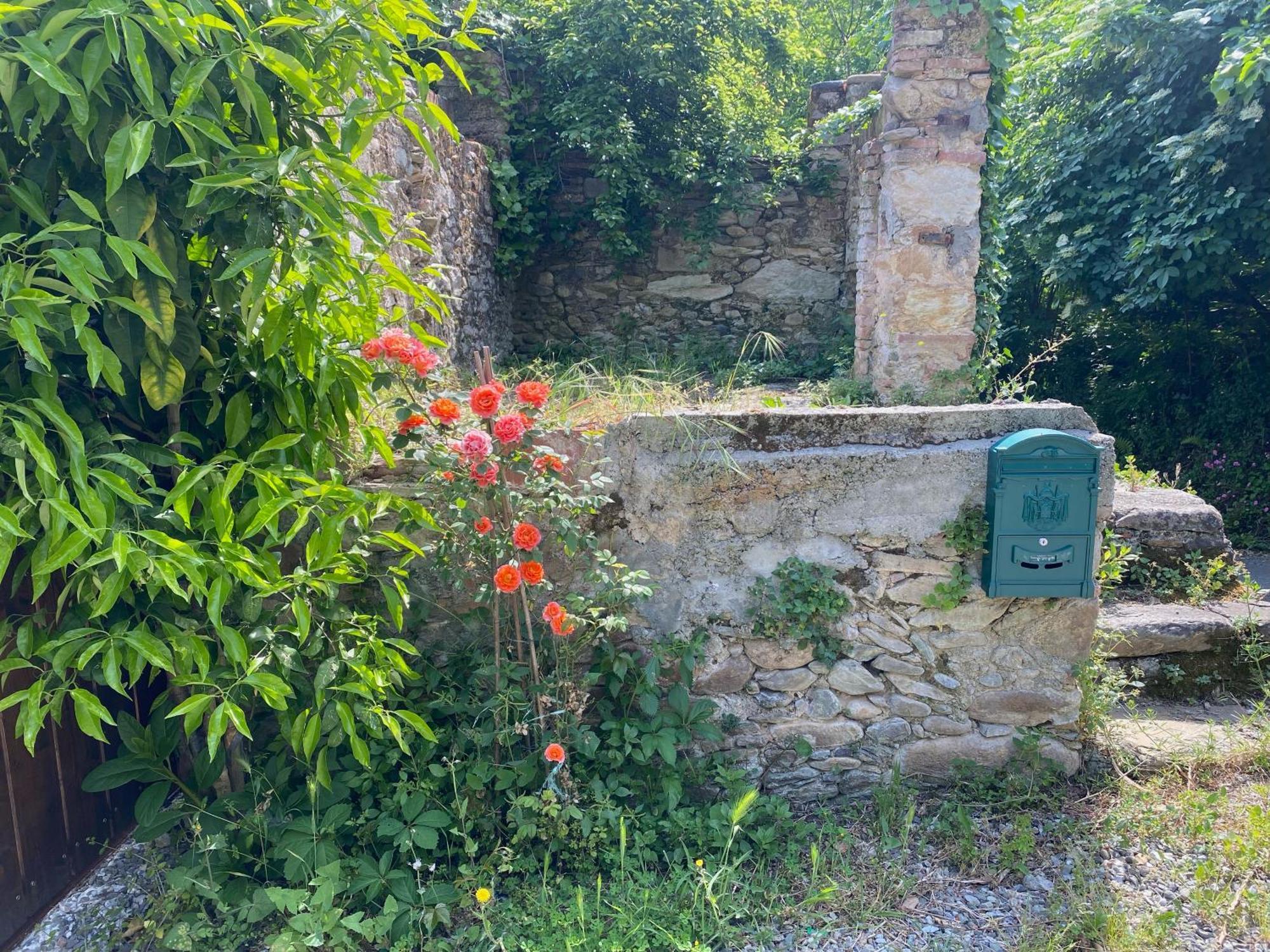 Dolce Vita In Tuscany Cottage Capannori Exterior photo